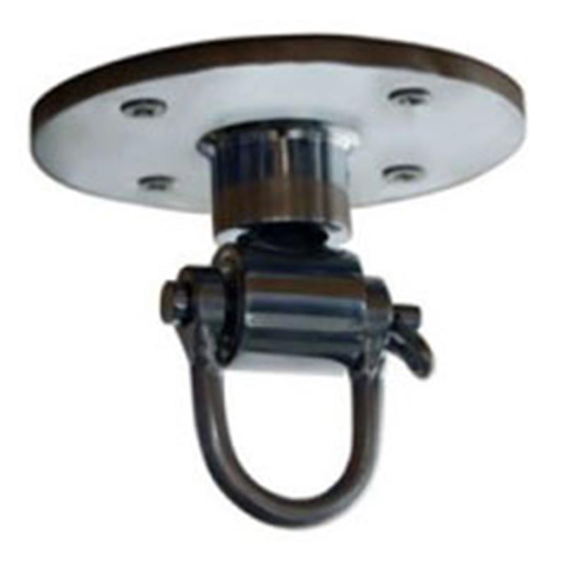 Stropni nosilec za speed-bag Everlast