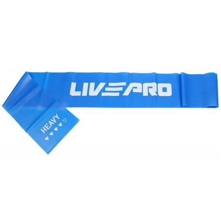 Elastika za vadbo LivePro LP8413