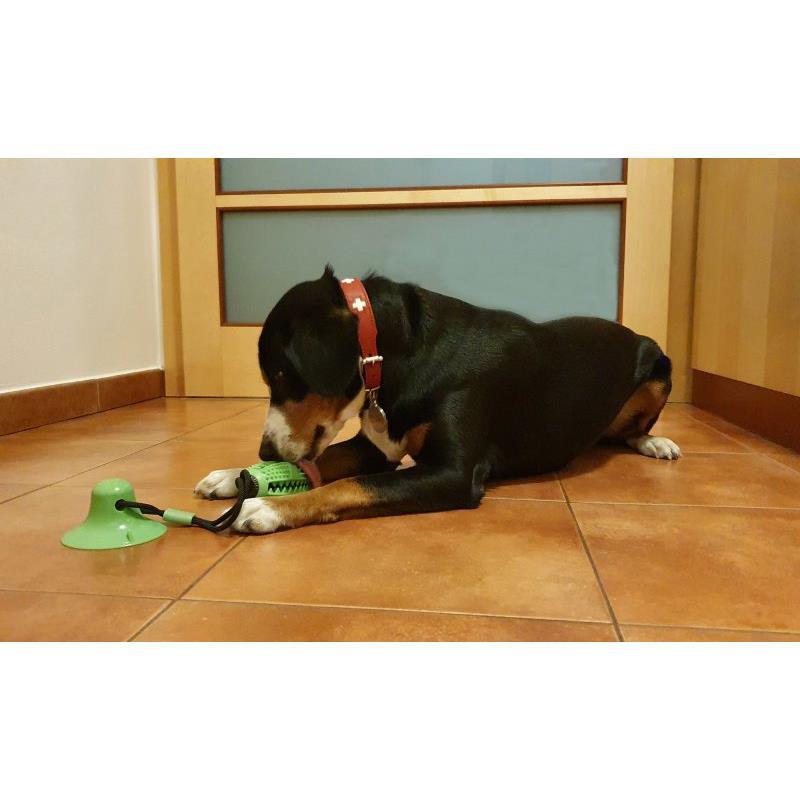 Igrača za pse Merco Doggie