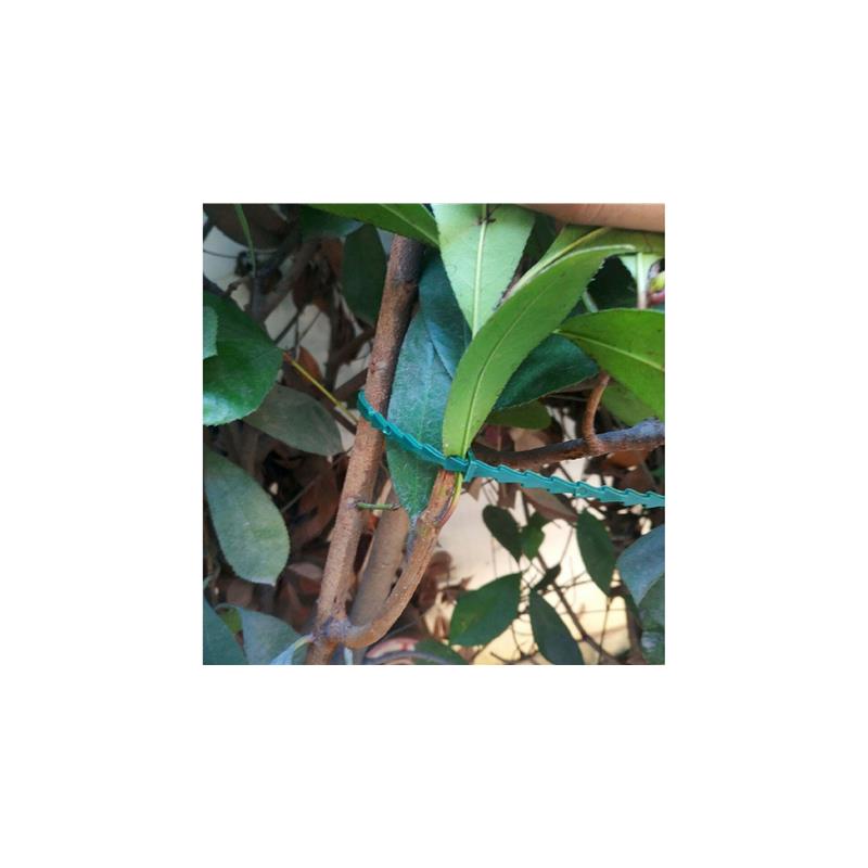 Vrtnarski trak. (vezice) Merco Kinzo 100