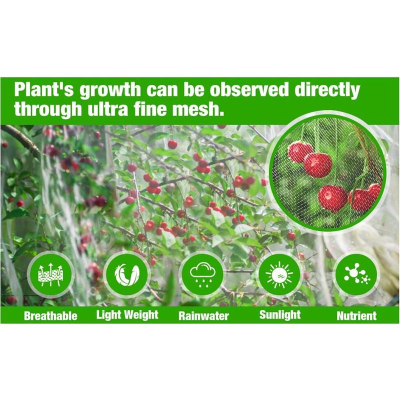Zaščitna mreža za vrt Merco 2,5 x 5m