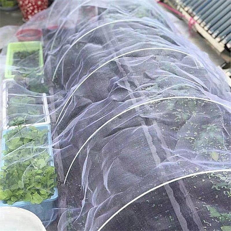 Zaščitna mreža za vrt Merco 2,5 x 6m