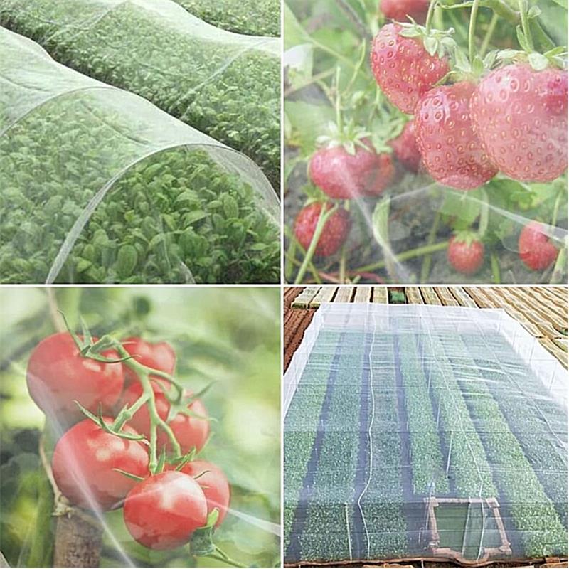 Zaščitna mreža za vrt Merco 2,5 x 6m