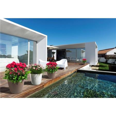 Lonček Plastkon Ella Twist 'n' Roll