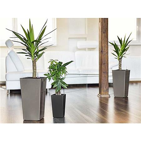 Dekorativni lonček Plastkon Elise Lesk