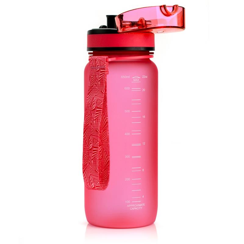 Bidon Meteor 650 ml